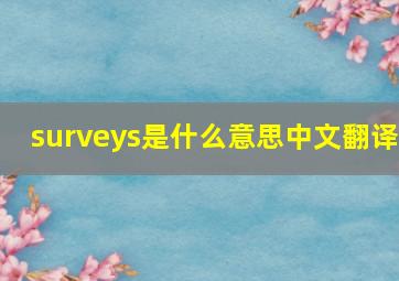 surveys是什么意思中文翻译