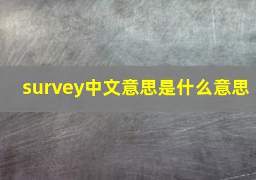 survey中文意思是什么意思