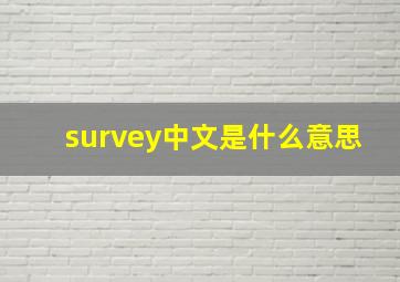 survey中文是什么意思