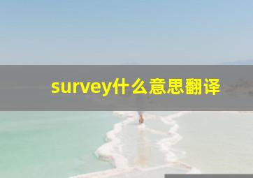 survey什么意思翻译