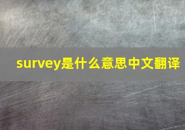 survey是什么意思中文翻译