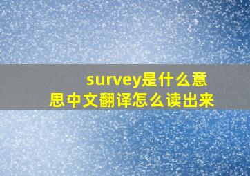 survey是什么意思中文翻译怎么读出来