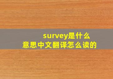 survey是什么意思中文翻译怎么读的