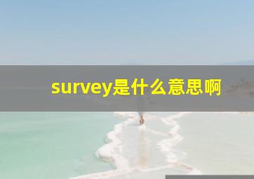 survey是什么意思啊