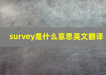 survey是什么意思英文翻译