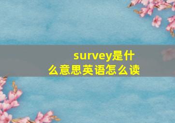 survey是什么意思英语怎么读