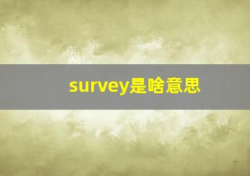 survey是啥意思