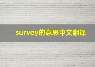 survey的意思中文翻译