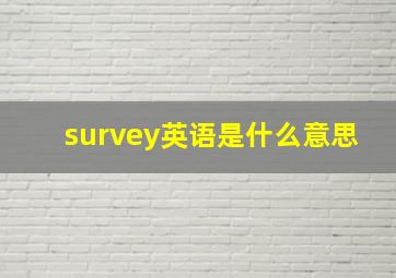 survey英语是什么意思