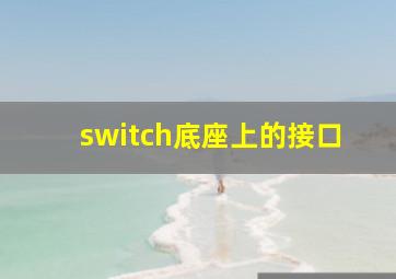 switch底座上的接口