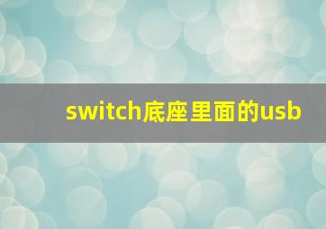 switch底座里面的usb