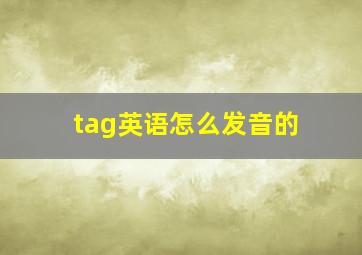 tag英语怎么发音的