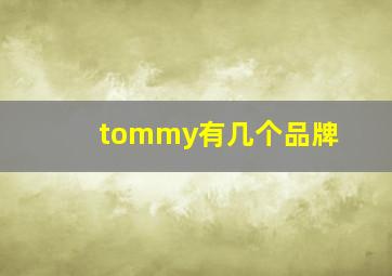 tommy有几个品牌