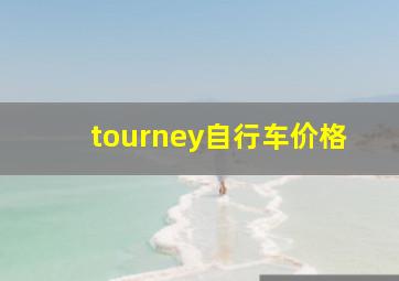 tourney自行车价格