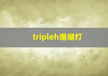 tripleh珊瑚灯