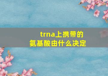 trna上携带的氨基酸由什么决定