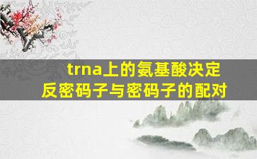 trna上的氨基酸决定反密码子与密码子的配对