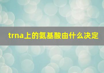 trna上的氨基酸由什么决定