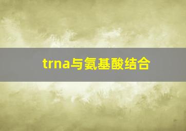 trna与氨基酸结合