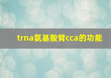 trna氨基酸臂cca的功能