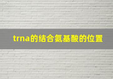 trna的结合氨基酸的位置