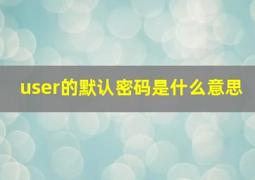 user的默认密码是什么意思