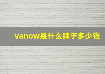 vanow是什么牌子多少钱