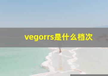 vegorrs是什么档次