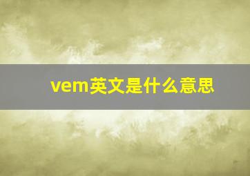 vem英文是什么意思