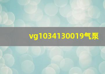 vg1034130019气泵