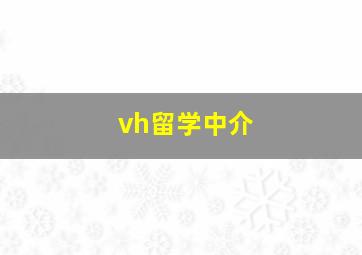 vh留学中介