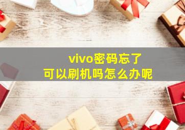 vivo密码忘了可以刷机吗怎么办呢