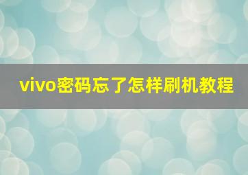 vivo密码忘了怎样刷机教程