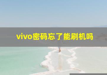 vivo密码忘了能刷机吗