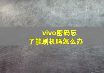 vivo密码忘了能刷机吗怎么办