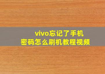 vivo忘记了手机密码怎么刷机教程视频