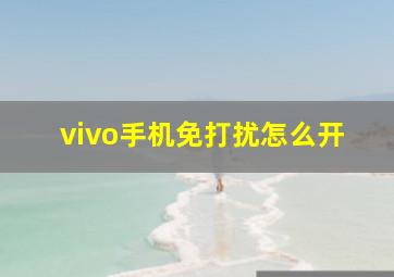 vivo手机免打扰怎么开