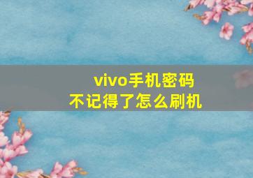 vivo手机密码不记得了怎么刷机