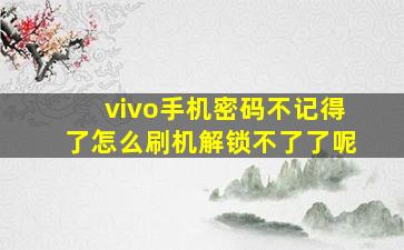 vivo手机密码不记得了怎么刷机解锁不了了呢