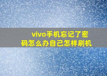 vivo手机忘记了密码怎么办自己怎样刷机