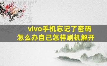 vivo手机忘记了密码怎么办自己怎样刷机解开