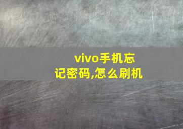 vivo手机忘记密码,怎么刷机