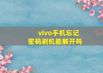 vivo手机忘记密码刷机能解开吗