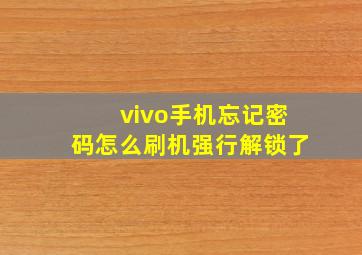 vivo手机忘记密码怎么刷机强行解锁了