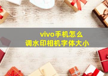 vivo手机怎么调水印相机字体大小