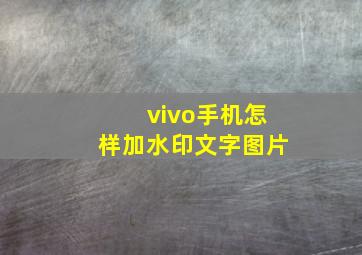 vivo手机怎样加水印文字图片