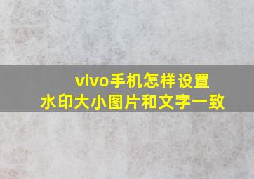 vivo手机怎样设置水印大小图片和文字一致