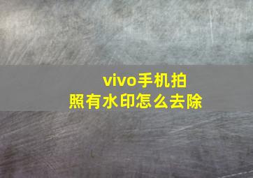 vivo手机拍照有水印怎么去除