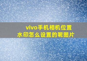 vivo手机相机位置水印怎么设置的呢图片