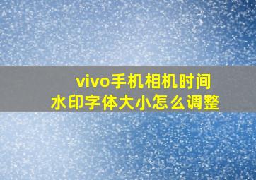 vivo手机相机时间水印字体大小怎么调整